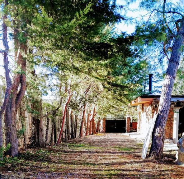 La Cabana De Piedra Ruidera Ngoại thất bức ảnh